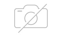 CHASSIS FIXE - TYPE HACHE - SEMOIR DES OIGNONS